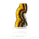 Fluorite Polished/Natural Slice from Namibia, mounted on a bespoke stand | Venusrox