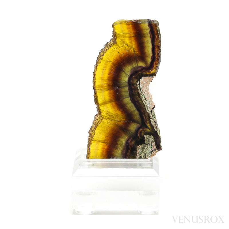 Fluorite Polished/Natural Slice from Namibia, mounted on a bespoke stand | Venusrox