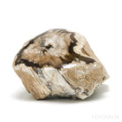 Petrified Wood Polished/Natural Crystal from Vantage, Washington State, USA | Venusrox