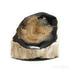 Petrified Wood Polished/Natural Crystal from Oregon, USA | Venusrox