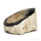 Petrified Wood Polished/Natural Crystal from Oregon, USA | Venusrox