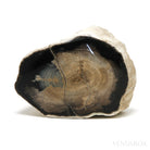 Petrified Wood Polished/Natural Crystal from Oregon, USA | Venusrox