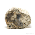 Petrified Wood Polished/Natural Crystal from Oregon, USA | Venusrox