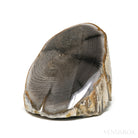 Petrified Wood Polished/Natural Crystal from Vantage, Washington State, USA | Venusrox