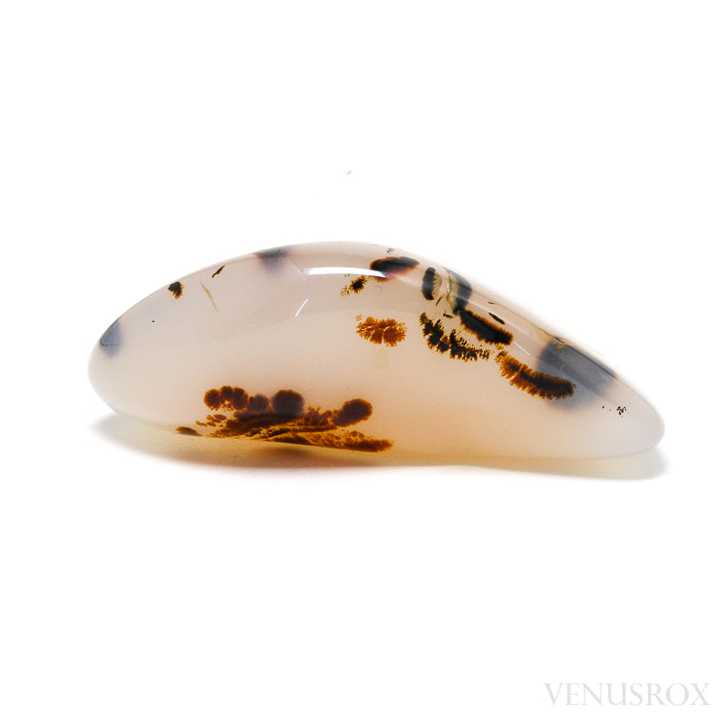 Agate Polished Crystal from Montana, USA | Venusrox