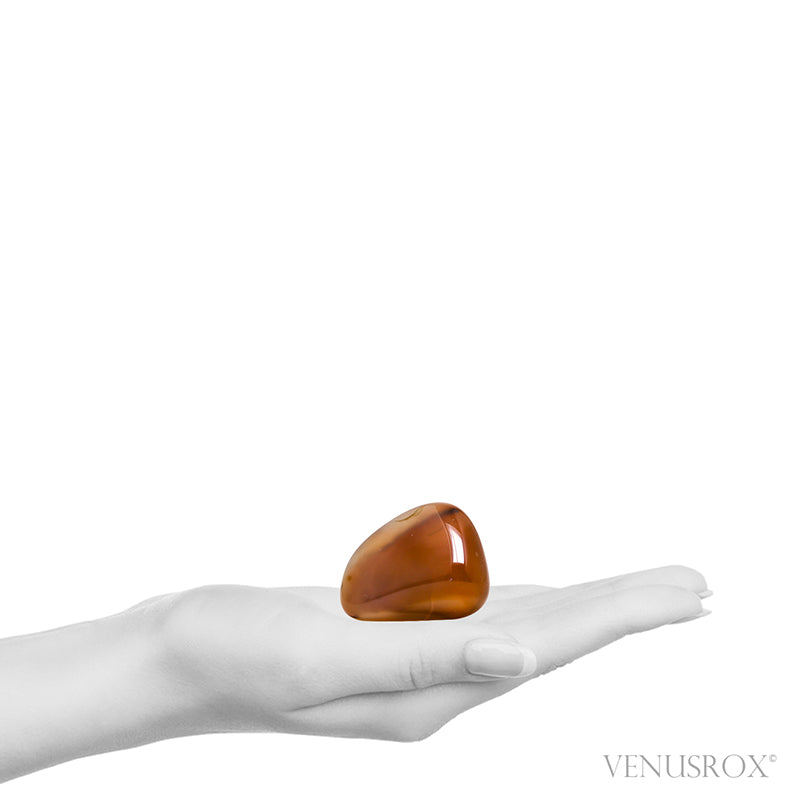 Agate Polished Crystal from Montana, USA | Venusrox