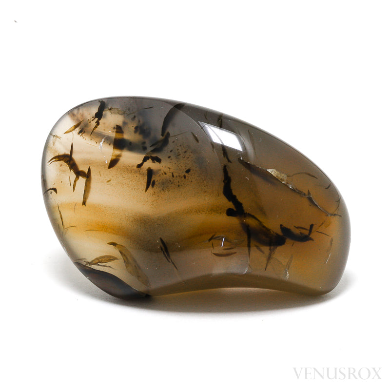 Agate Polished Crystal from Montana, USA | Venusrox