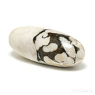 Peanut Wood Polished Crystal from Australia | Venusrox