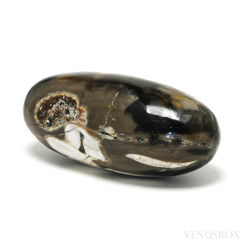 Peanut Wood Polished Crystal from Australia | Venusrox