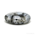 Rainbow Moonstone with Black Tourmaline Polished Crystal from India | Venusrox