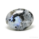 Rainbow Moonstone with Black Tourmaline Polished Crystal from India | Venusrox