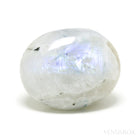 Rainbow Moonstone with Black Tourmaline Polished Crystal from India | Venusrox
