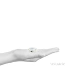 Rainbow Moonstone with Black Tourmaline Polished Crystal from India | Venusrox
