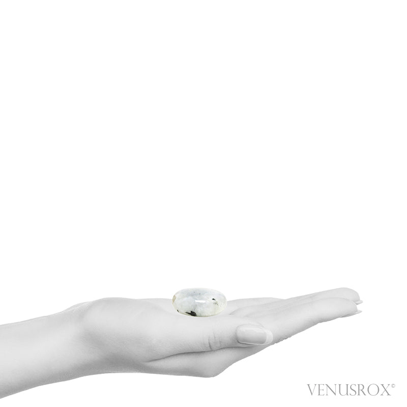 Rainbow Moonstone with Black Tourmaline Polished Crystal from India | Venusrox