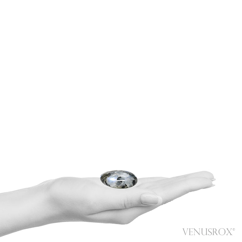 Rainbow Moonstone with Black Tourmaline Polished Crystal from India | Venusrox