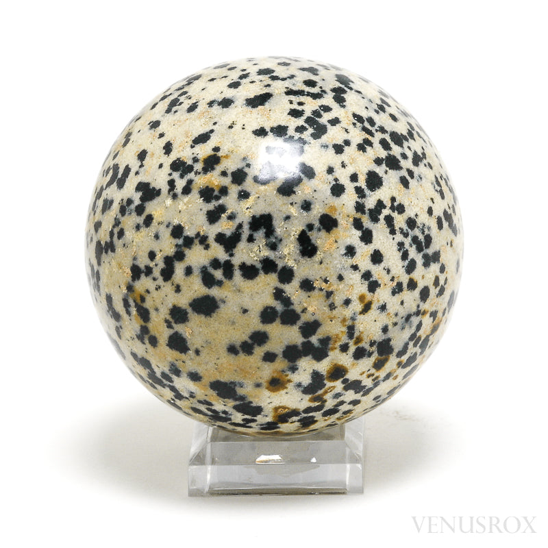 Dalmatian Jasper Polished Sphere from Mexico | Venusrox