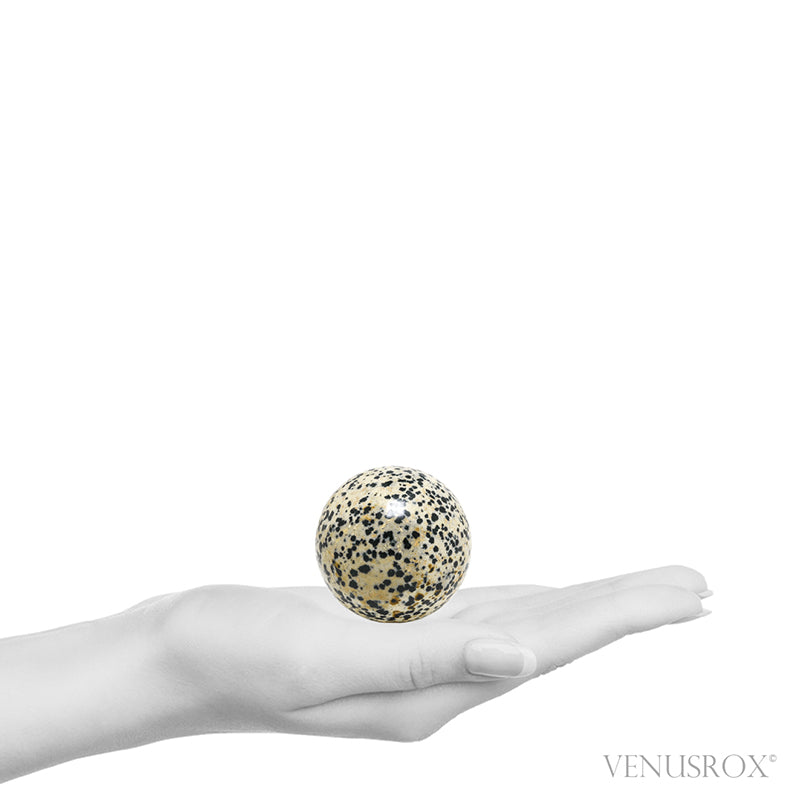 Dalmatian Jasper Polished Sphere from Mexico | Venusrox