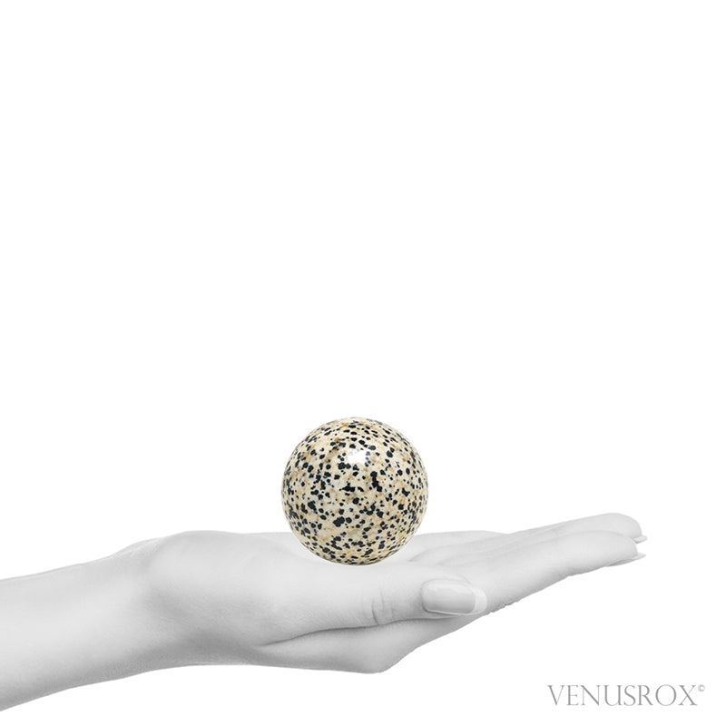 Dalmatian Jasper Polished Sphere from Mexico | Venusrox