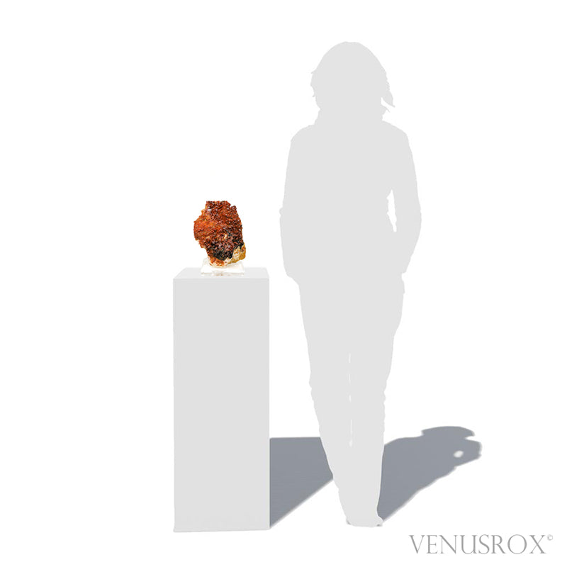 Vanadinite on Barite Natural Specimen from Mibladen, Midelt, Meknes-Tafilalet Region, Morocco, mounted on a bespoke stand | Venusrox