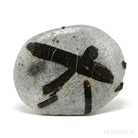 Staurolite/Fairy Cross Natural Crystal from Pestsovye Keivy, Keivy Mountains, Kola Peninsula, Northern Region, Russia | Venusrox