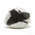 Staurolite/Fairy Cross Natural Crystal from Pestsovye Keivy, Keivy Mountains, Kola Peninsula, Northern Region, Russia | Venusrox