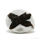 Staurolite/Fairy Cross Natural Crystal from Pestsovye Keivy, Keivy Mountains, Kola Peninsula, Northern Region, Russia | Venusrox
