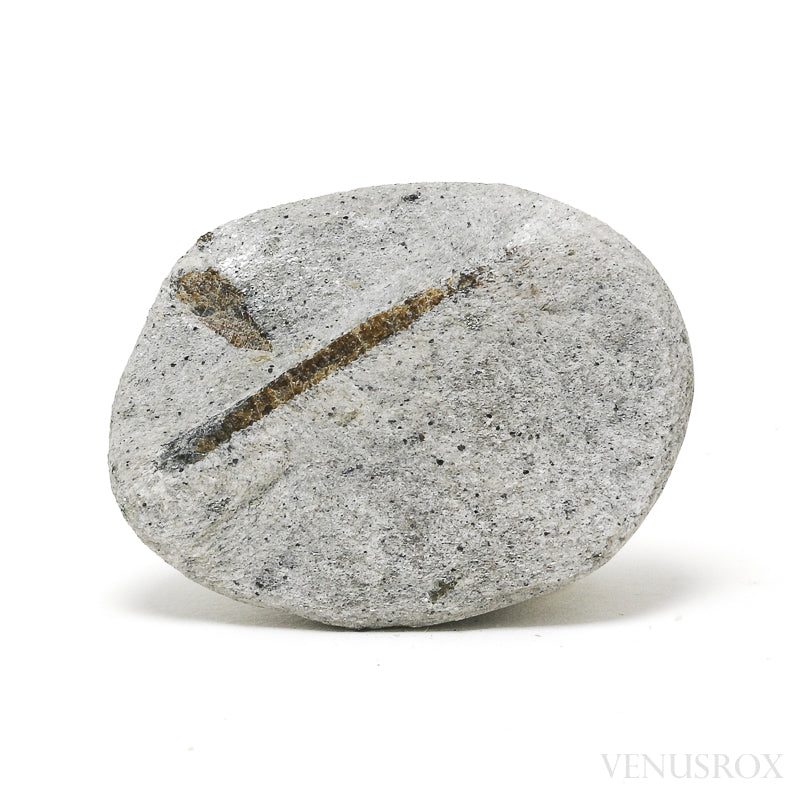 Staurolite/Fairy Cross Natural Crystal from Pestsovye Keivy, Keivy Mountains, Kola Peninsula, Northern Region, Russia | Venusrox