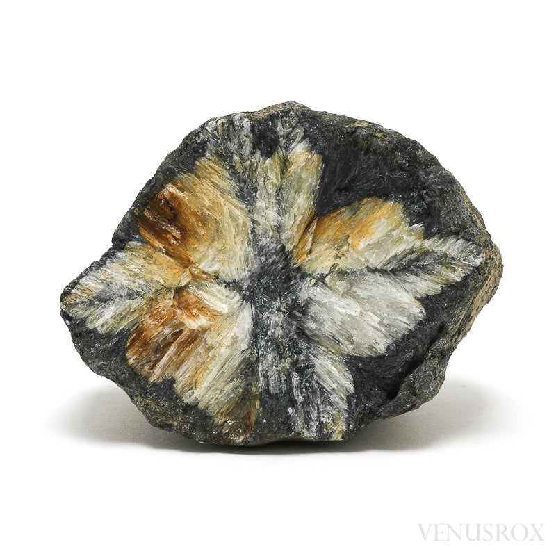 Chiastolite/Andalusite Natural Crystal from Pestsovye Keivy, Keivy Mountains, Kola Peninsula, Northern Region, Russia | Venusrox