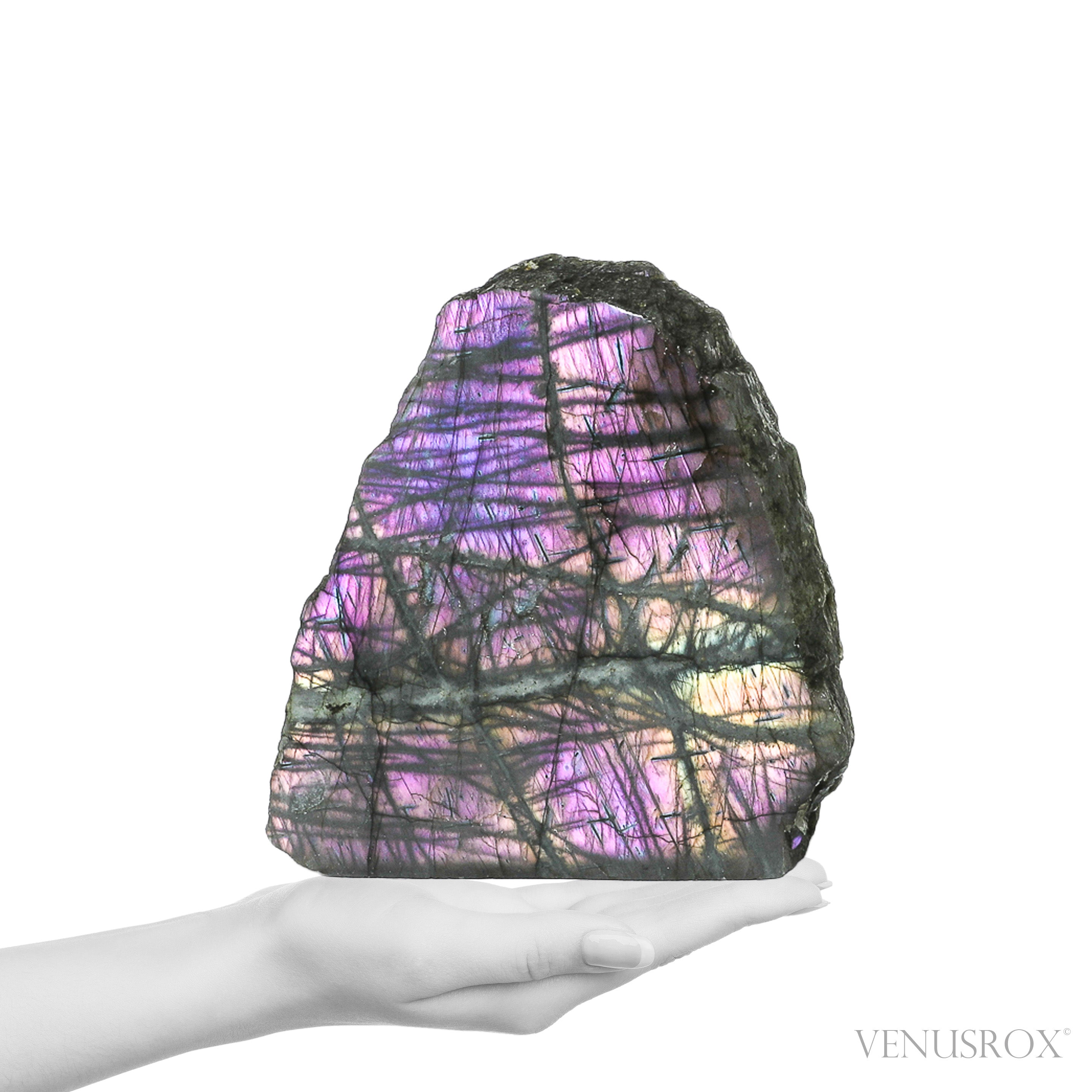 Labradorite Polished/Natural Freeform from Madagascar | Venusrox
