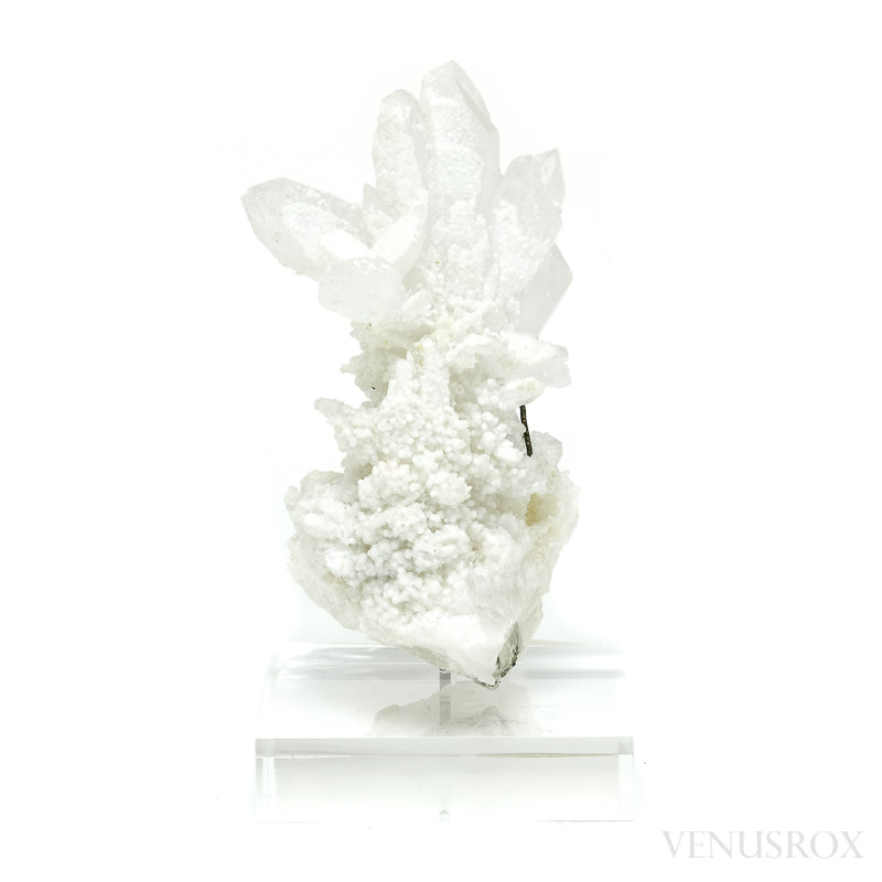 Clear Quartz with Dolomite & Pyrite Natural Cluster from the Trepča Mining Complex, Trepča Valley, Kosovska Mitrovica, Kosovska Mitrovica District, Kosovo mounted on a bespoke stand | Venusrox