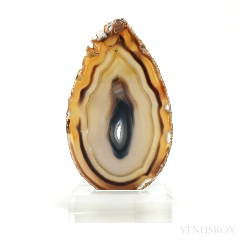 Agate Polished Slice from Brazil, mounted on a bespoke stand | Venusrox