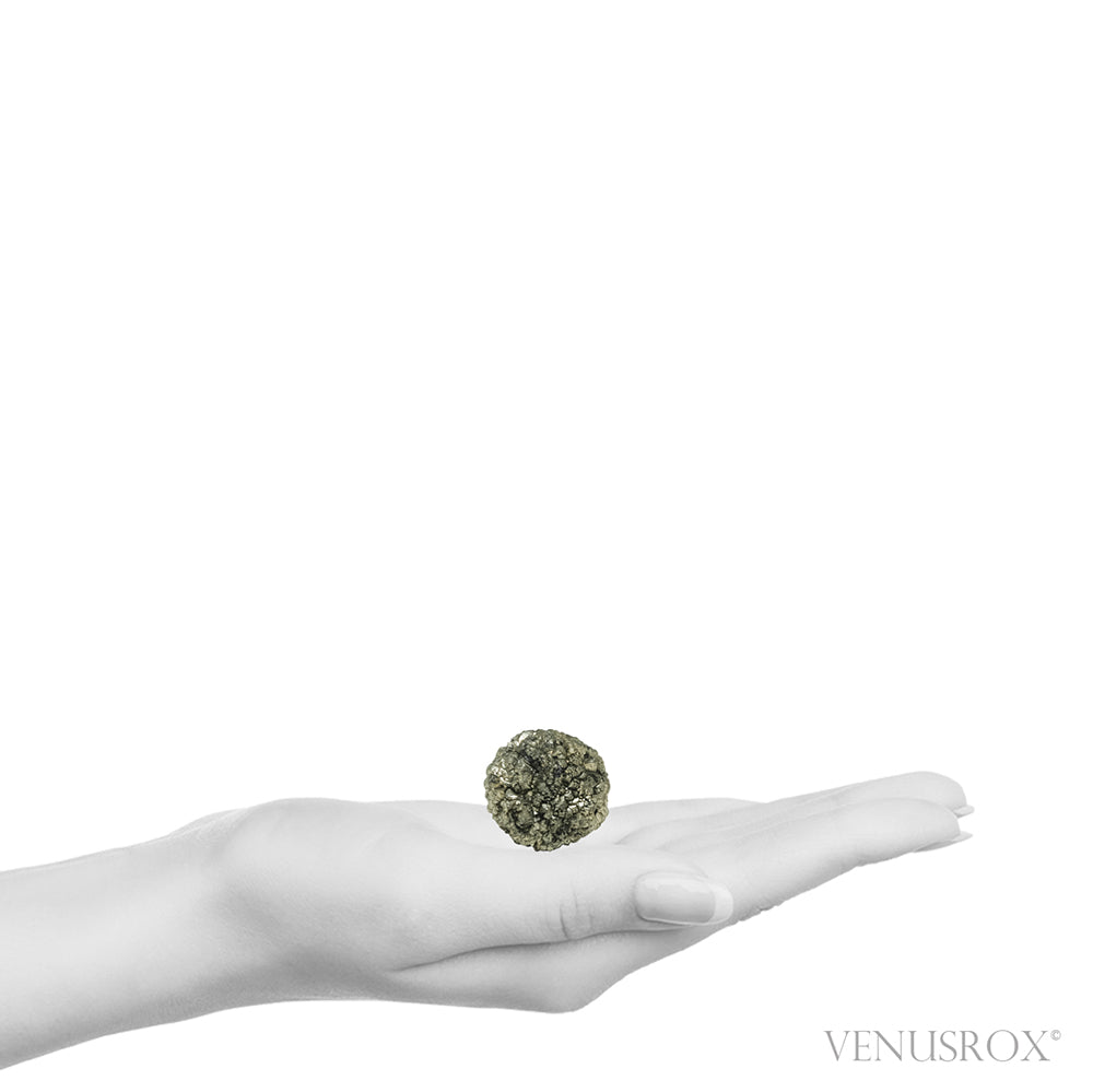 Natural Marcasite Crystal from the Mansehra District, Hazara Division, Khyber Pakhtunkhwa Province, Pakistan | Venusrox