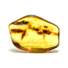 Natural Baltic Amber Polished Crystal | Venusrox