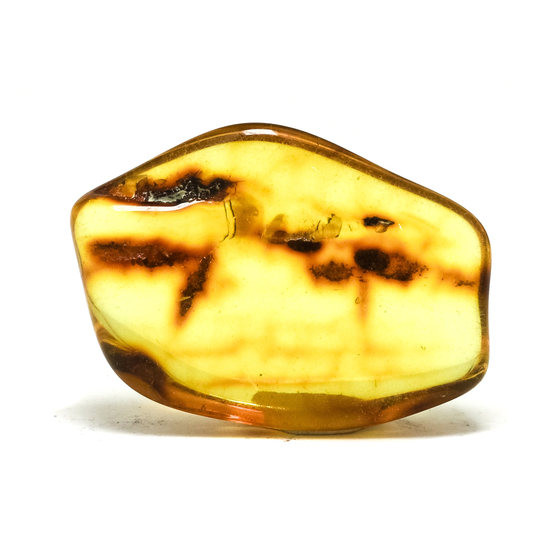 Natural Baltic Amber Polished Crystal | Venusrox