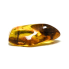 Natural Baltic Amber Polished Crystal | Venusrox