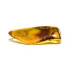 Natural Baltic Amber Polished Crystal | Venusrox