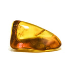 Natural Baltic Amber Polished Crystal | Venusrox