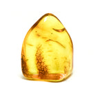 Natural Baltic Amber Polished Crystal | Venusrox