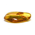 Natural Baltic Amber Polished Crystal | Venusrox