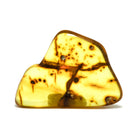 Natural Baltic Amber Polished Crystal | Venusrox