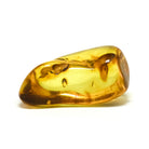 Natural Baltic Amber Polished Crystal | Venusrox