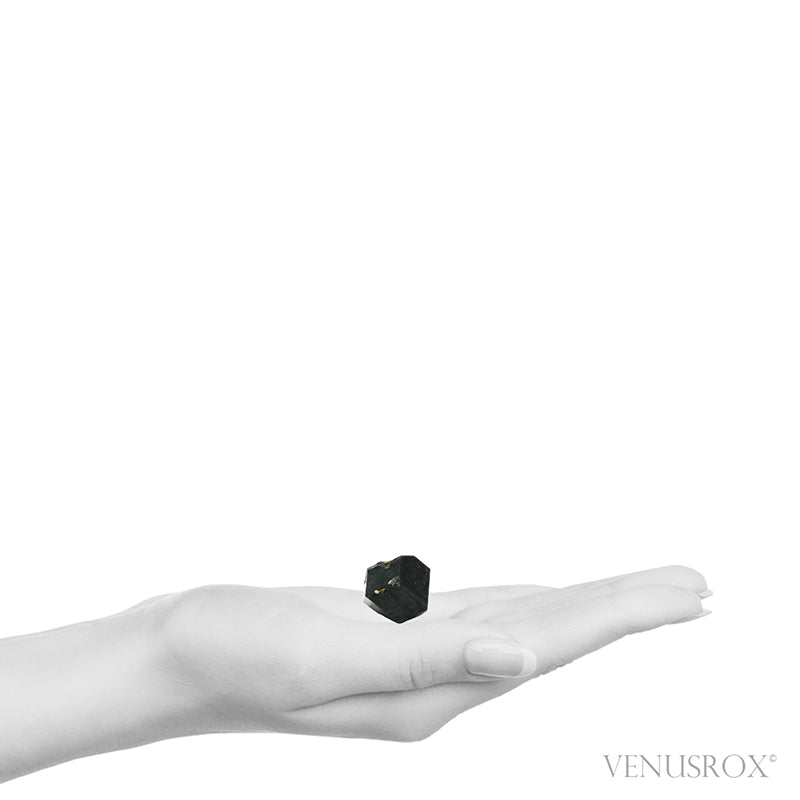 Black Andradite Garnet Natural Crystal from the Imilchil area, Midelt Province, Drâa-Tafilalet Region, Morocco | Venusrox