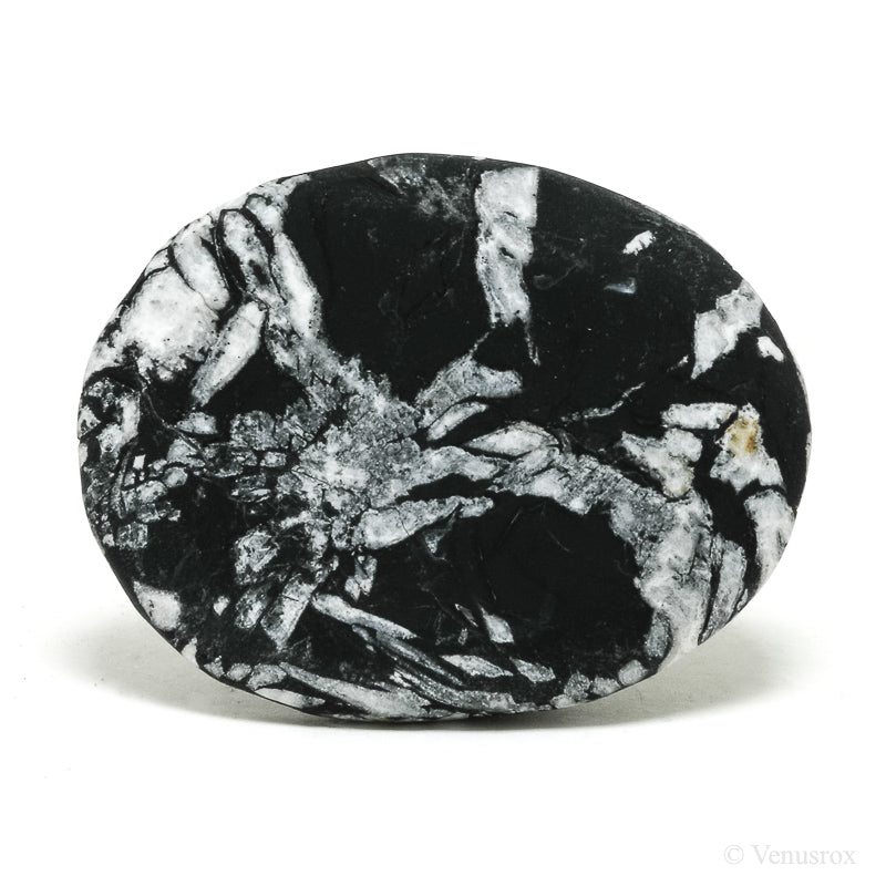 Chrysanthemum Stone from China | Venusrox