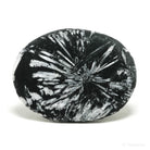 Chrysanthemum Stone from China | Venusrox