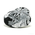 Chrysanthemum Stone from China | Venusrox