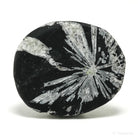 Chrysanthemum Stone from China | Venusrox