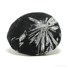 Chrysanthemum Stone from China | Venusrox
