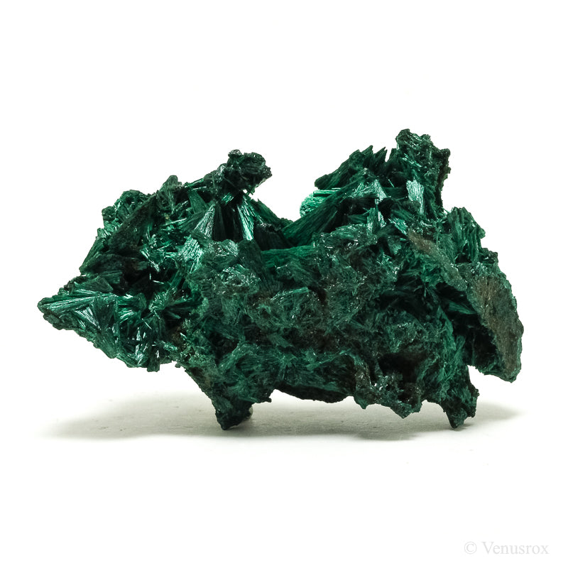Fibrous Malachite Natural Crystal from the Luishia Mine, Katanga Province, Democratic Republic of Congo | Venusrox