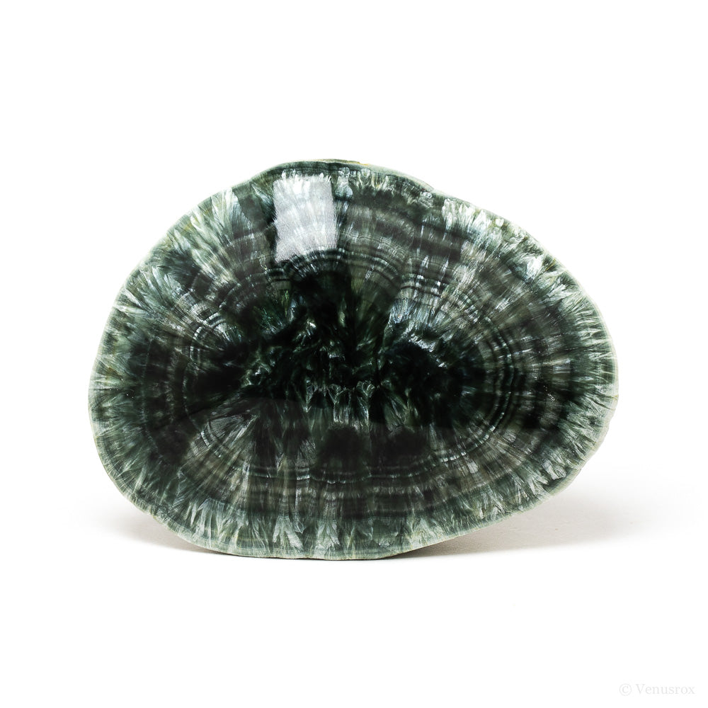 Seraphinite Polished/Natural Crystal from the Korshunovskoye Iron Scary Deposit, Irkutskaya Oblast, Siberia, Russia | Venusrox