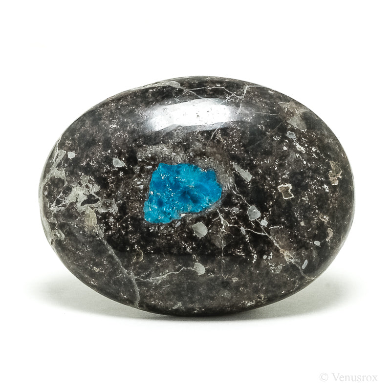 Cavansite in Matrix Polished Crystal from India | Venusrox